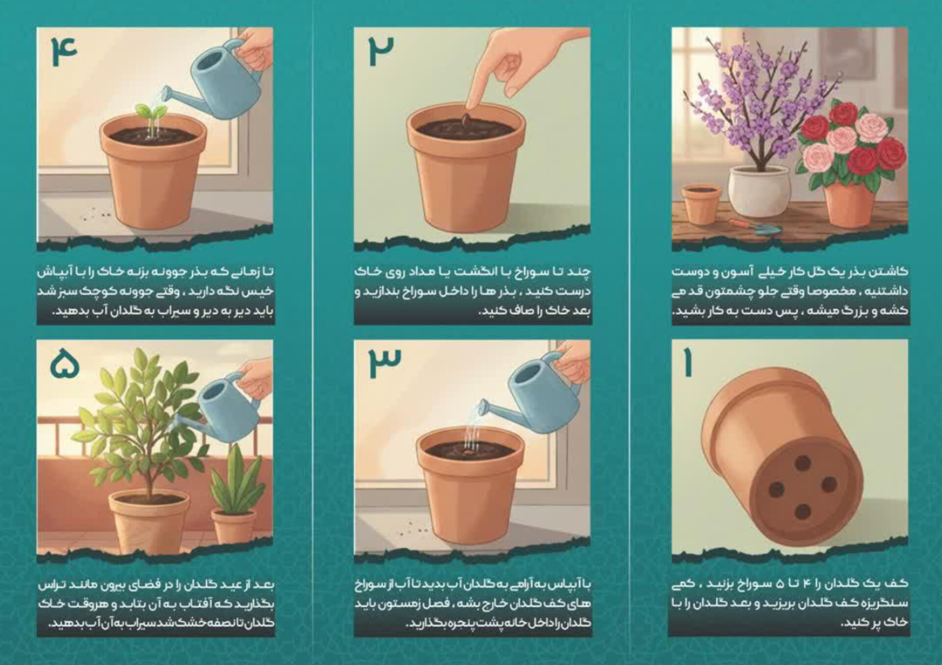 بذر بکار ، قصه بگو، دوچرخه برنده شو !