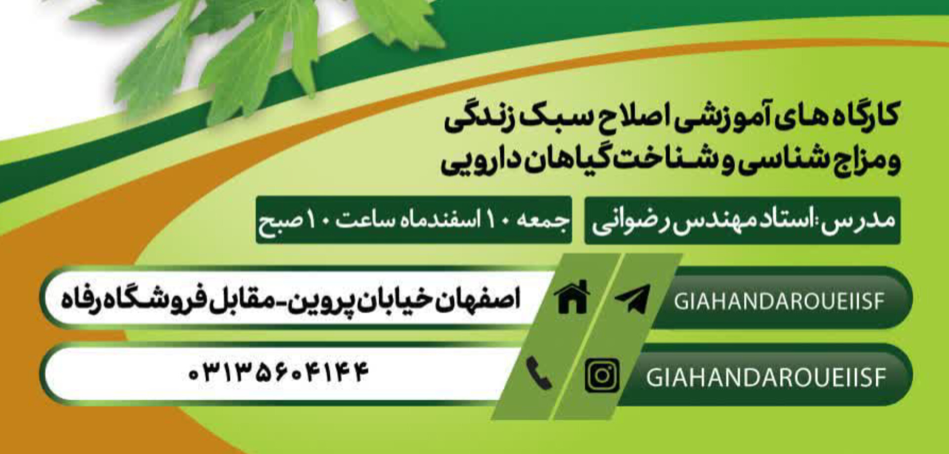 کلاس های آموزشی رایگان بازار گیاهان دارویی