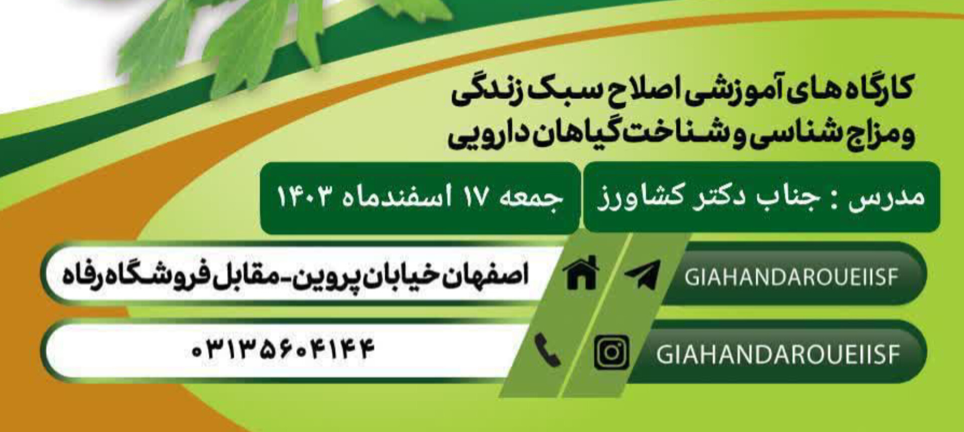 کلاس های آموزشی بازار گیاهان دارویی