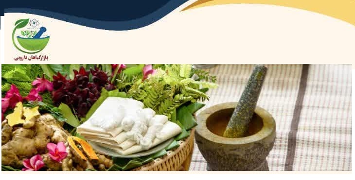 برگزاری کلاس و کارگاه آموزشی اصلاح سبک زندگی و آموزش راه‌های زندگی سالم