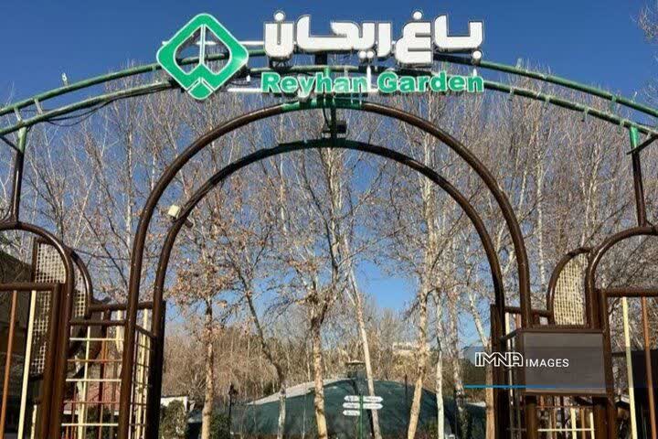 گیاهان دارویی و محصولات سالم در «باغ ریحان»